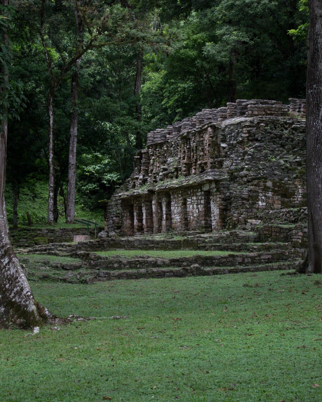 Ancient Maya ruins in the Chiapas jungle